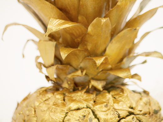 金菠萝
