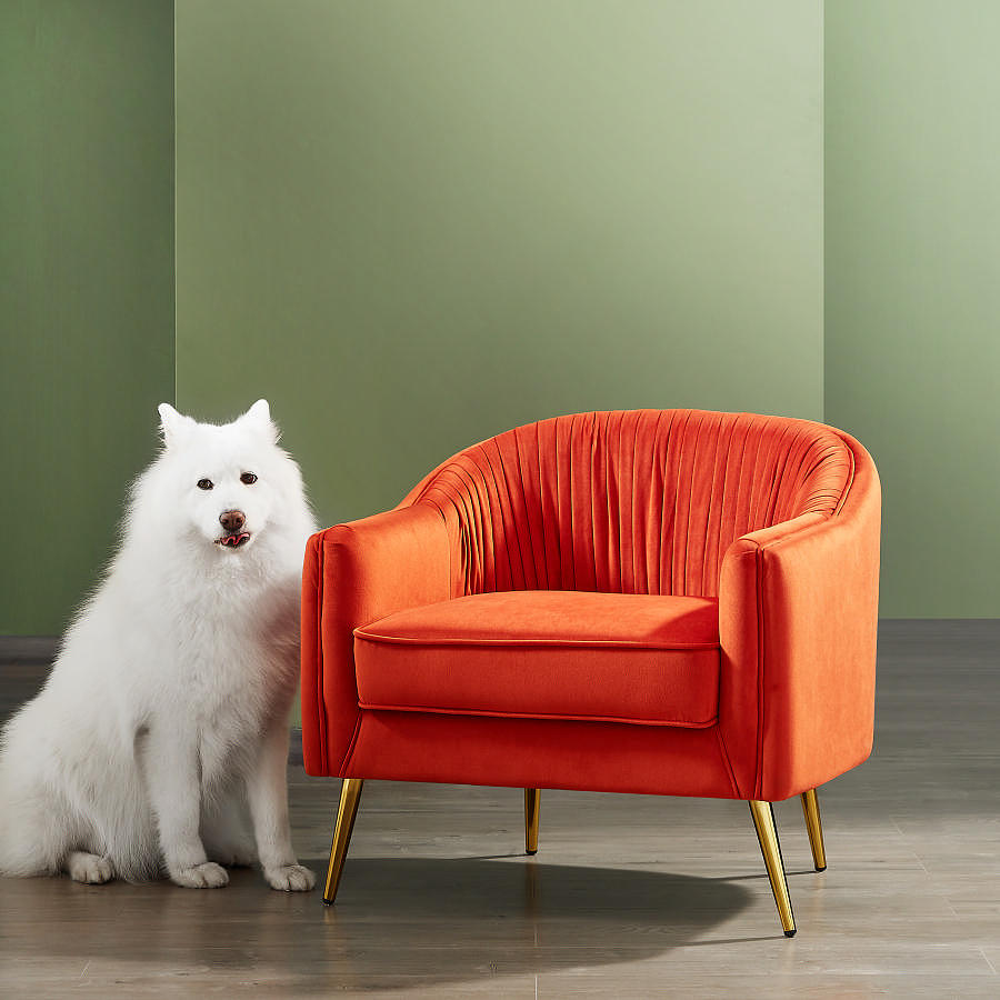 亚马逊东莞惠州深圳家具摄影拍照3000平家具摄影棚