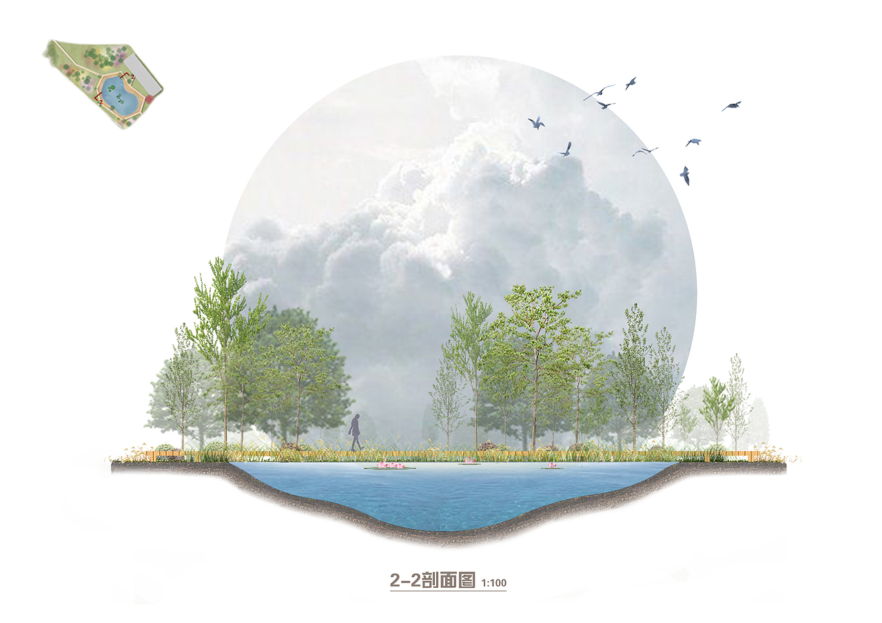 景观|剖面图 表达手法