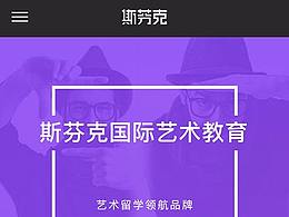 2017 移动端_斯芬克网站优化