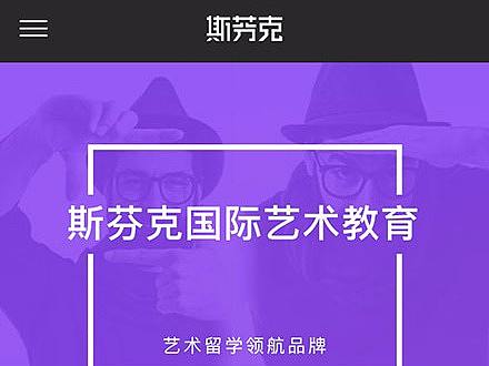 2017 移动端_斯芬克网站优化