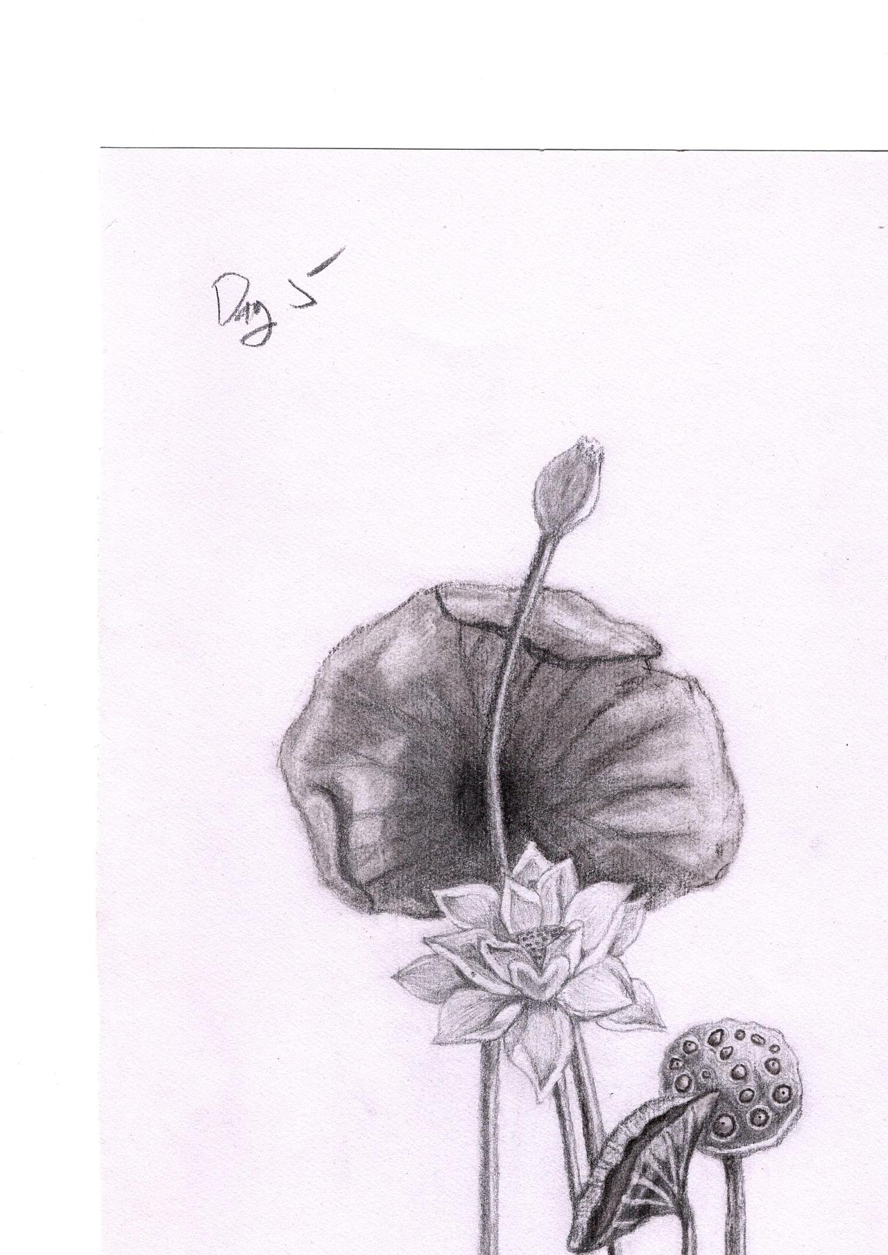 素描学习日记_天逸宝地-站酷zcool