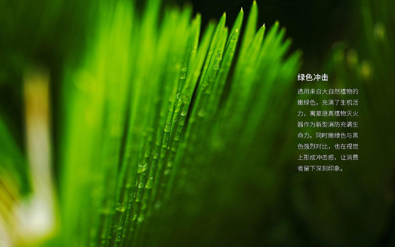 某消防器包装设计（图ZMjYyNDU4OTE2） - 包装 - 站酷设计师鸿雁长飞光不度原创素材 - 站酷ZCOOL