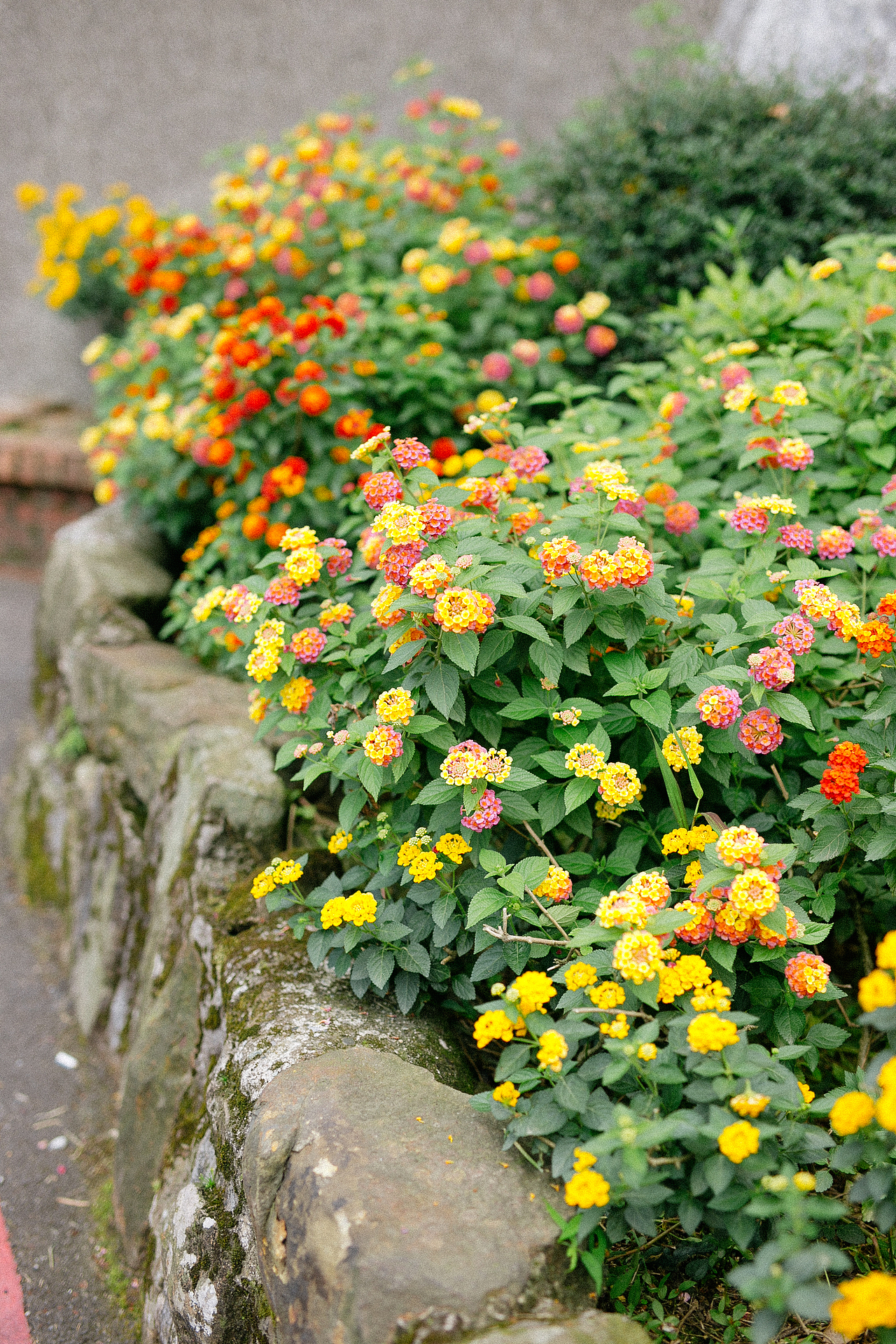 台湾纪——九份