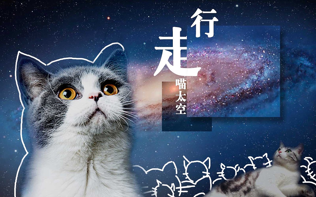 行走喵星球（图ZMzQzOTQwMTI=） - 宣传物料 - 站酷设计师hy316902191原创素材 - 站酷ZCOOL
