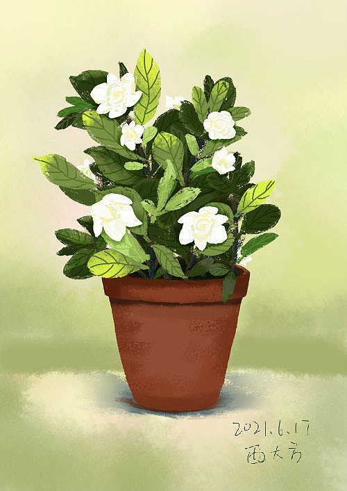 绿色植物盆栽插图及样机|插画|创作习作|西大方 - 原创作品 - 站酷