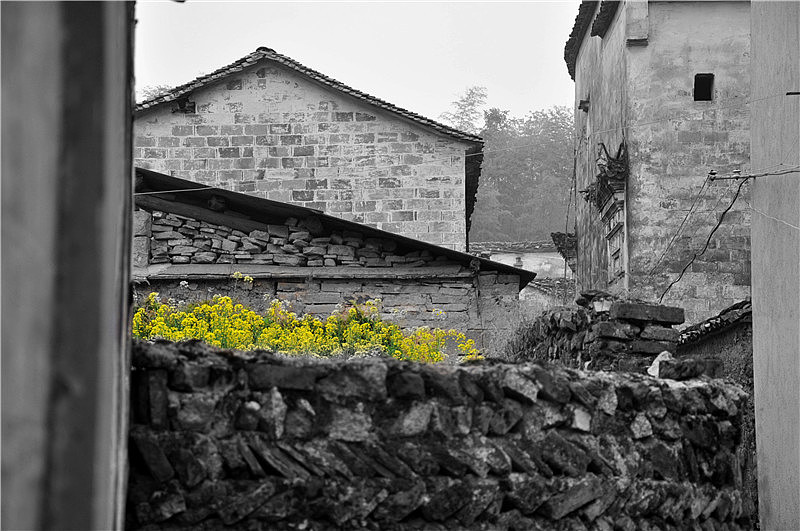 大学摄影随手拍拍（图ZMjUwOTI3NzY=） - 风光摄影 - 站酷设计师传媒摄影人原创素材 - 站酷ZCOOL