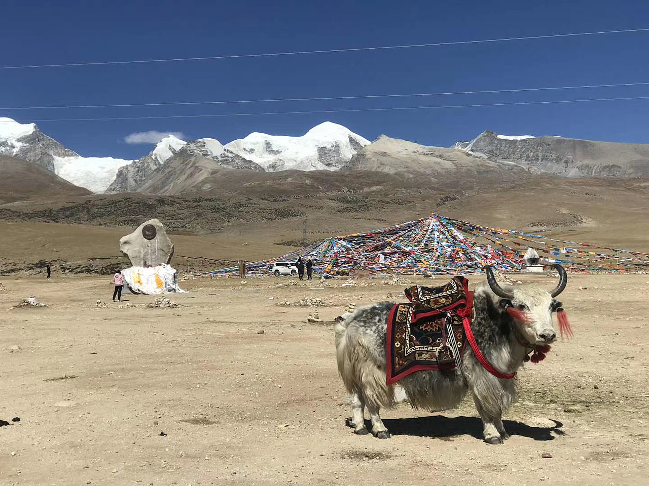 【原创】摄影打卡/4