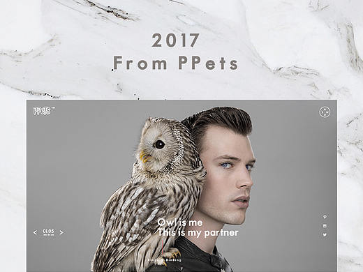 PPETS宠物摄影