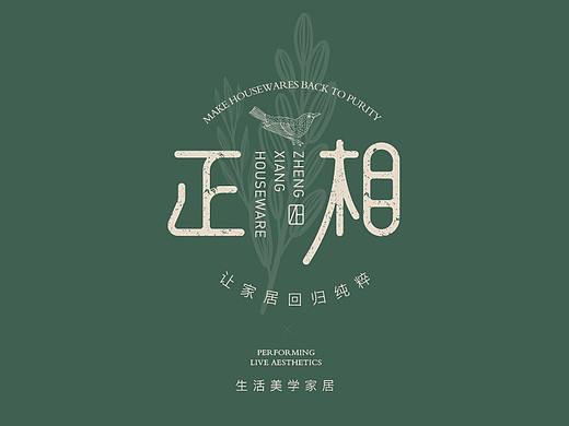 正相.生活美学家居 品牌视觉 LOGO设计 家居用品设计