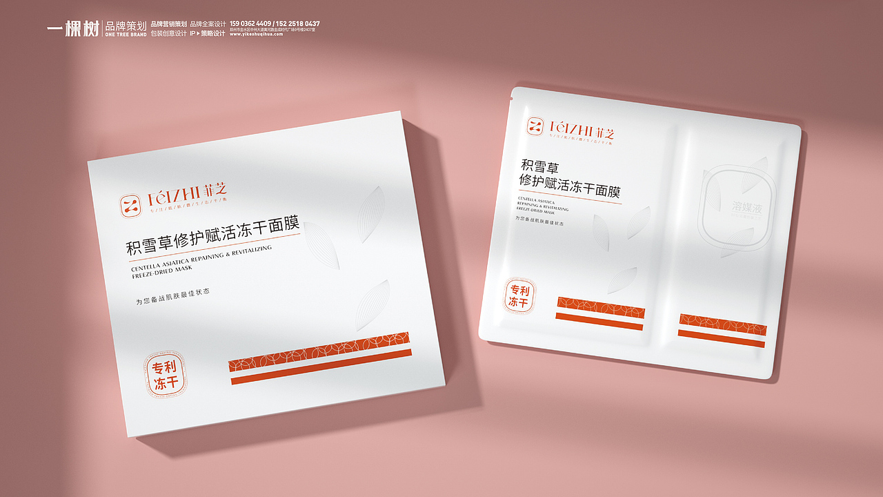 菲芝x一棵树品牌 ∣ 品牌策划全案