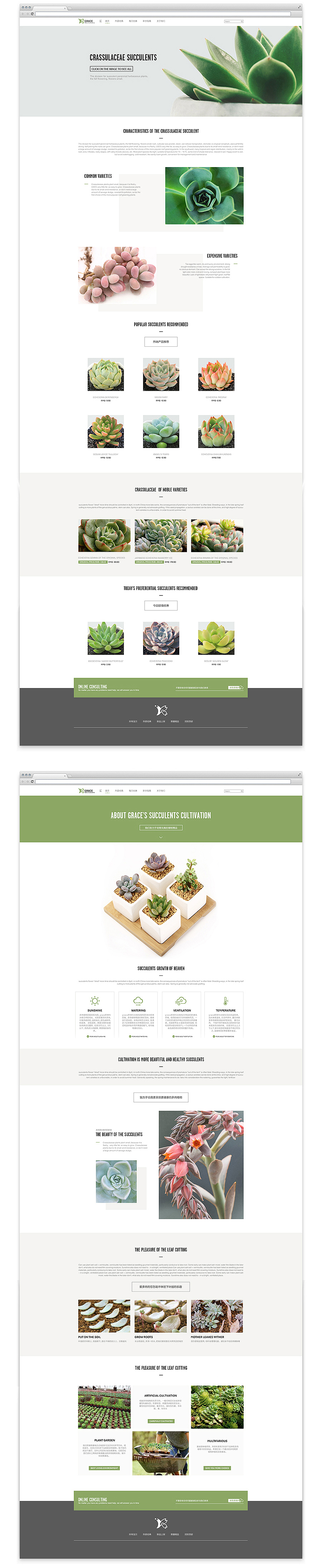 一组小清新的多肉植物网站首页承接页（图ZNTg2NDMyMzI=） - 电商 - 站酷设计师佑佑佑小溪原创素材 - 站酷ZCOOL