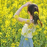 觞璃的头像