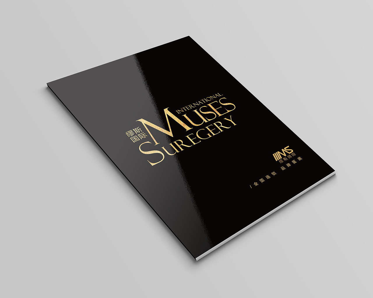 医美黑金画册时尚整形画册大气高档美容画册封面设计