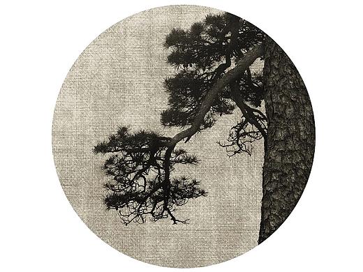 自然造物2019第一季