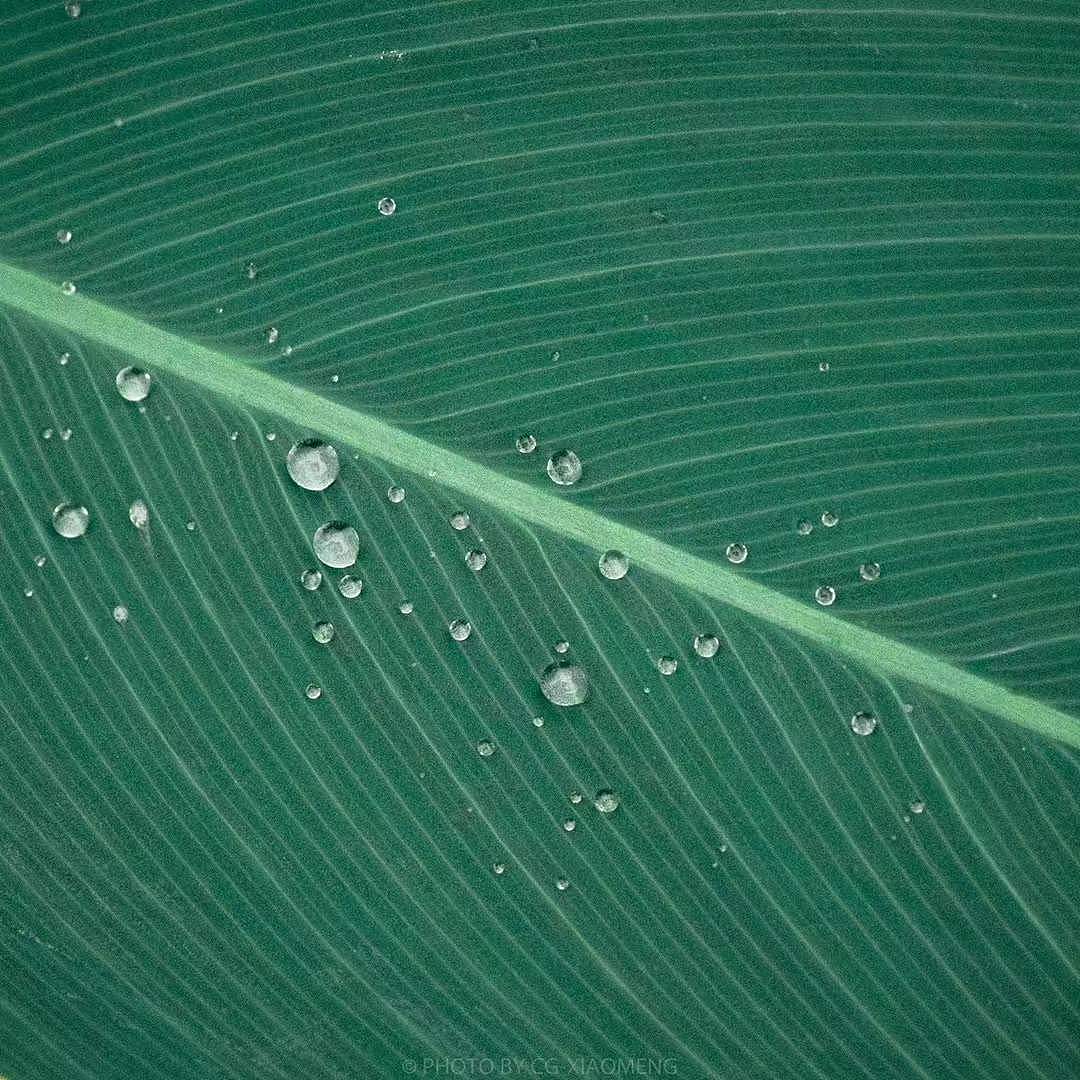 随拍·游赏（杭州亚运公园）（图ZMjg0NTk2MzEy） - 风光摄影 - 站酷设计师CG_小萌原创素材 - 站酷ZCOOL