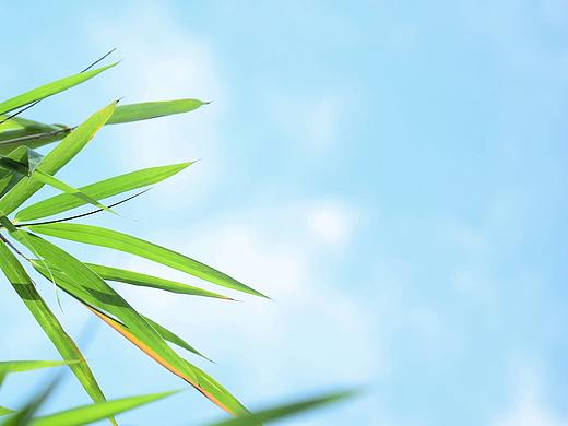 小清新色系主题摄影