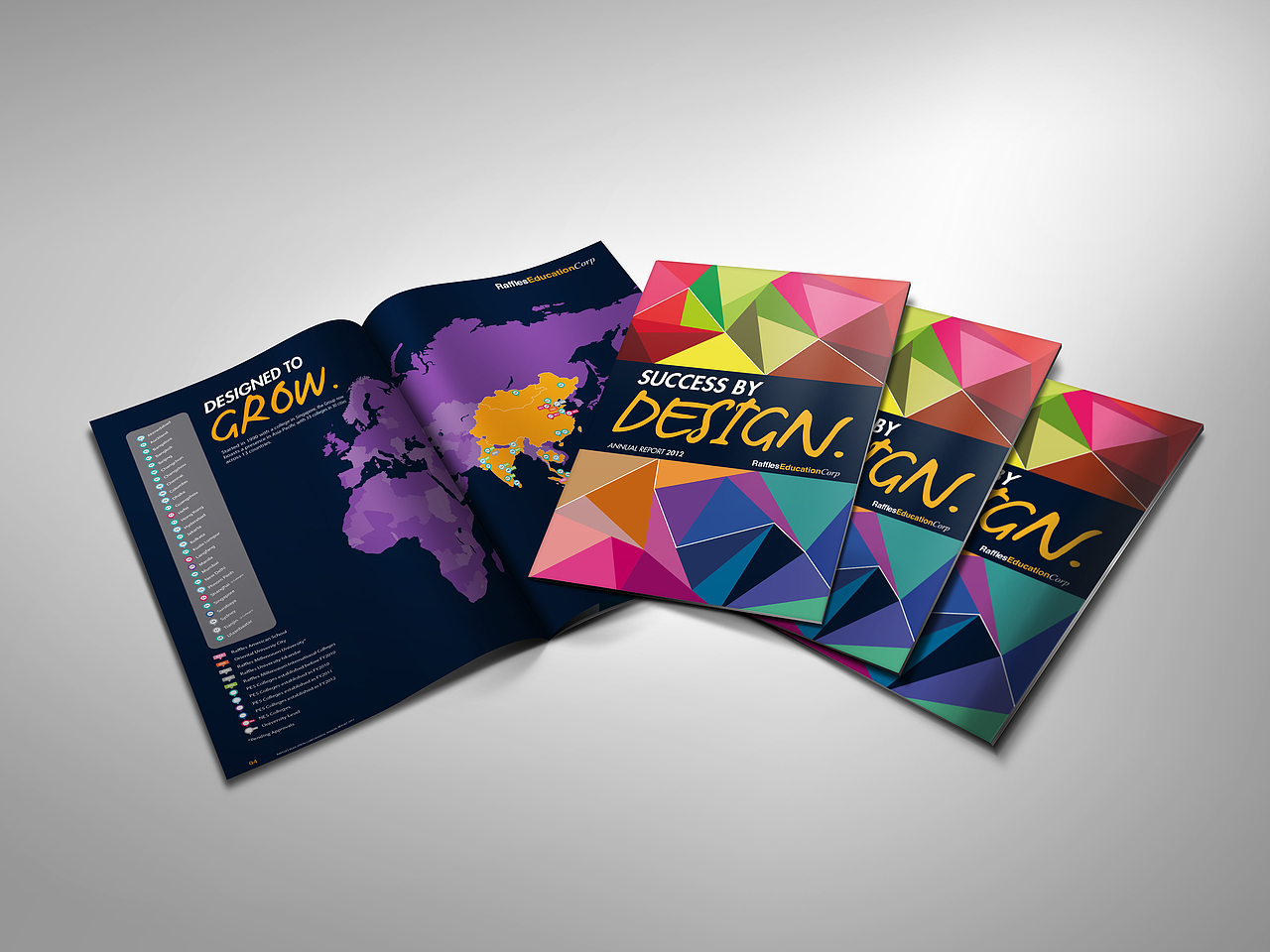 Success by Design Annual Report（图ZMzAyNTM5ODQ=） - 书籍/画册 - 站酷设计师rayzong原创素材 - 站酷ZCOOL