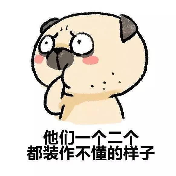 晨懵的周一,艾玛!听说你也养了一群白眼狼!?