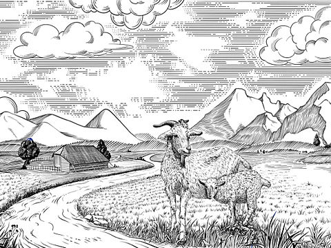 十一月合集｜农副产品包装插画