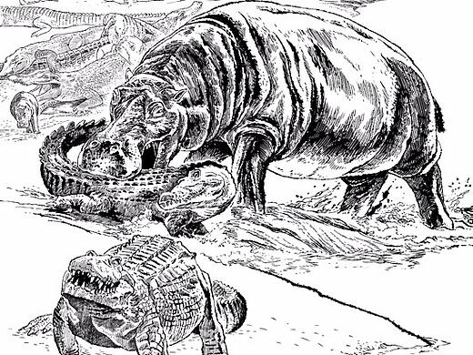 儿童插画绘本，图书插画，写实探险插画，写实漫画线稿