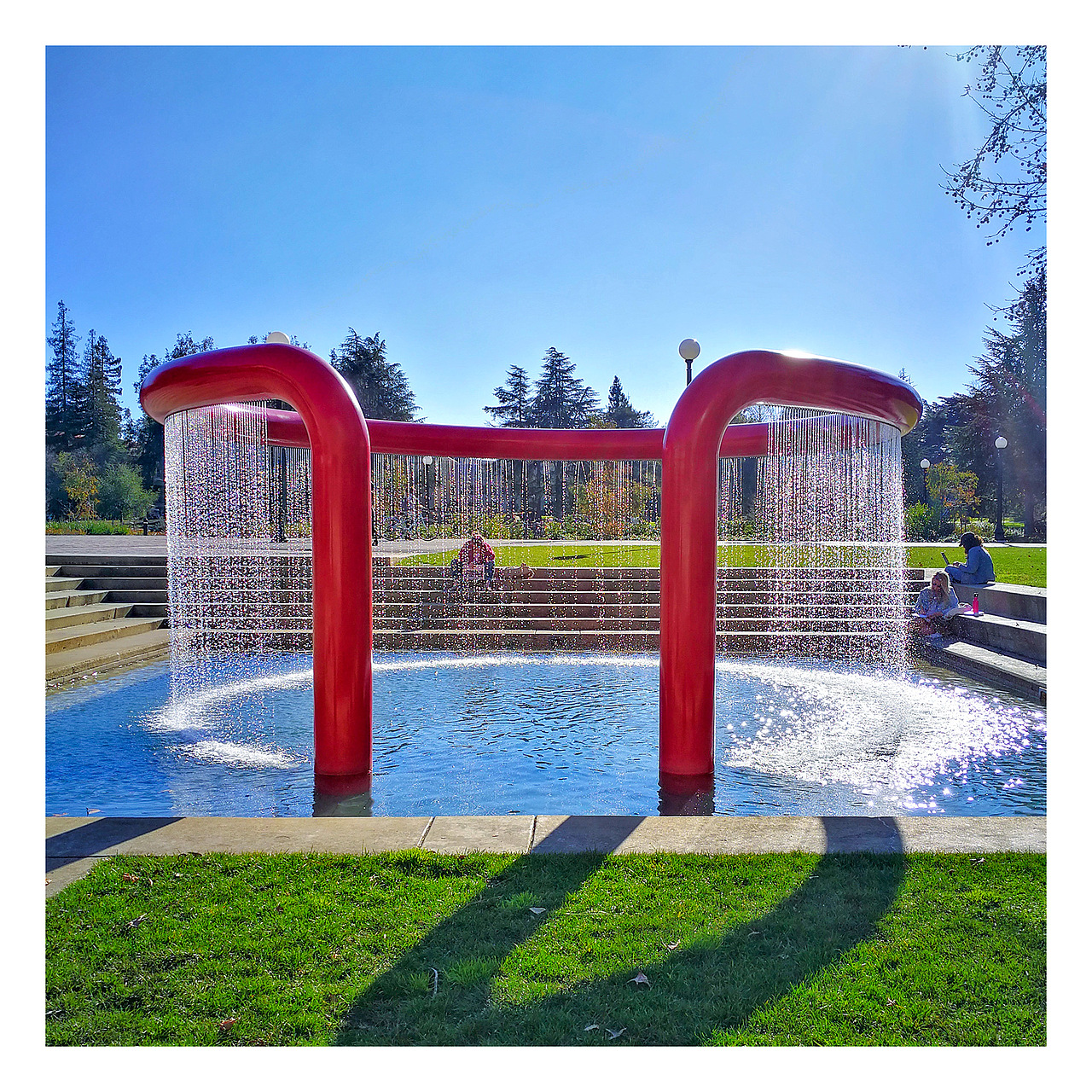 地上到处坐着读书的同学