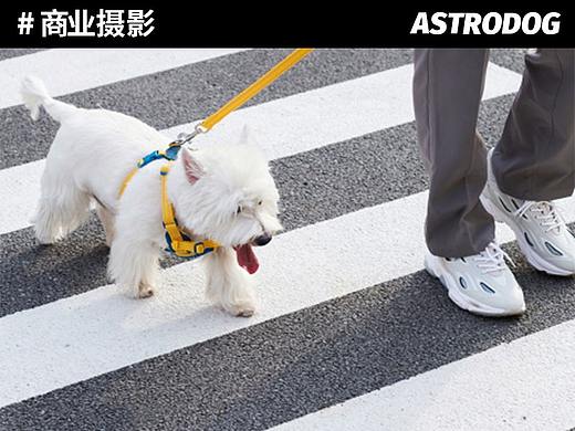 宠物用品拍摄-TUFFHOUND它愿 狗胸背/项圈/牵引拍摄 