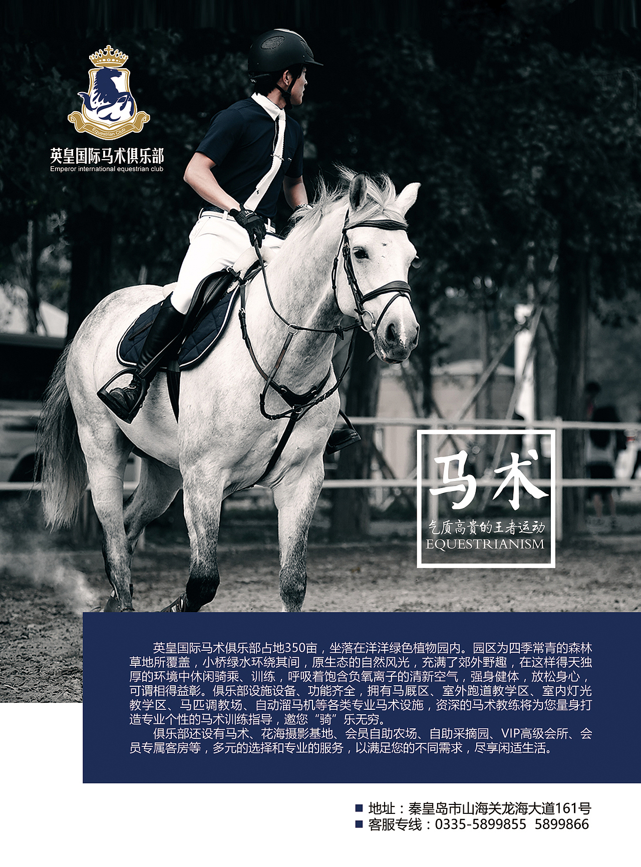 英皇国际马术俱乐部宣传海报
