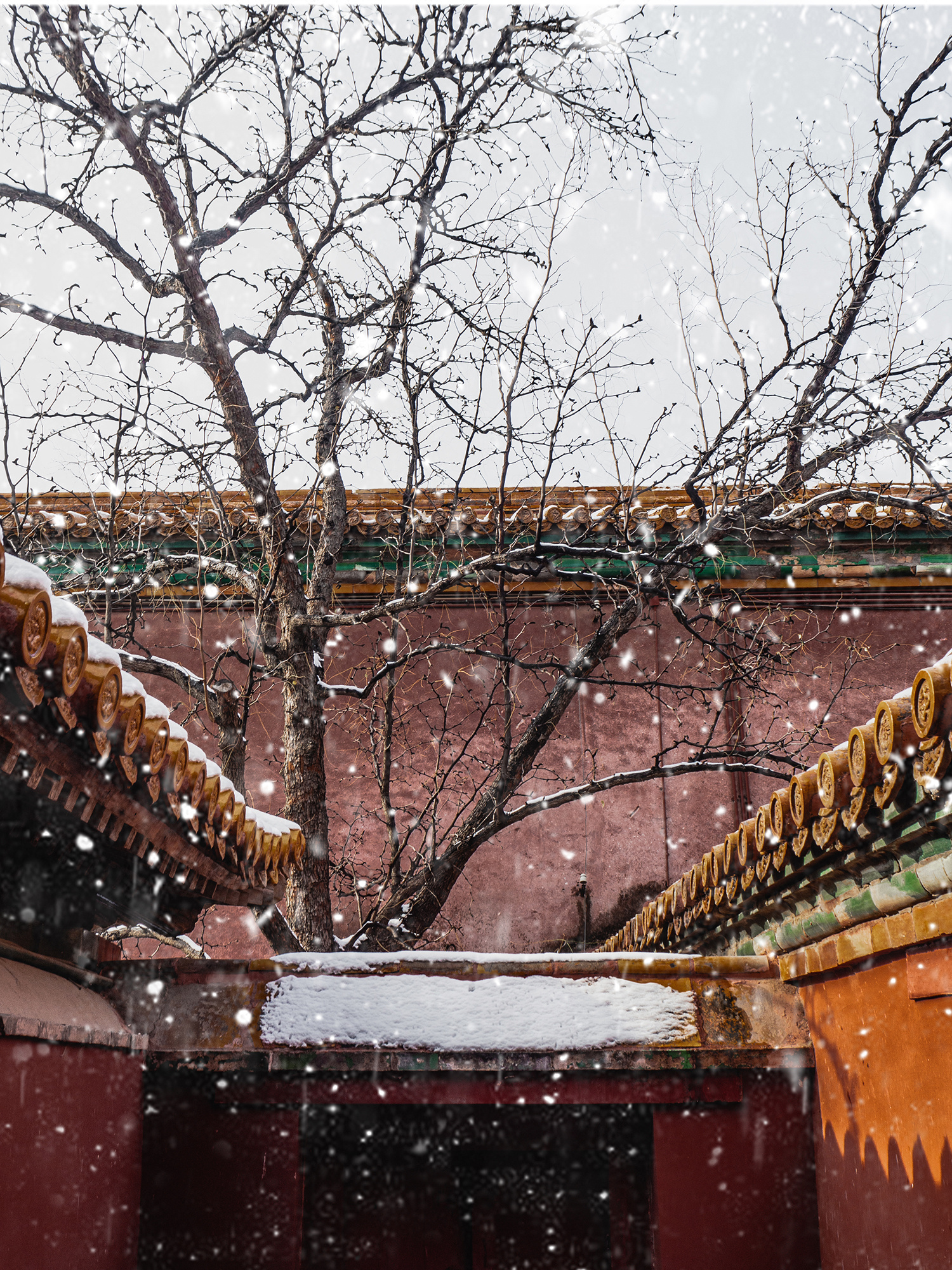 故宫的雪|摄影|环境/建筑摄影|秋呈 - 原创作品 - 站酷 (ZCOOL)