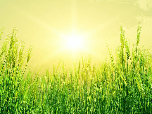 浅谈公益广告的分类