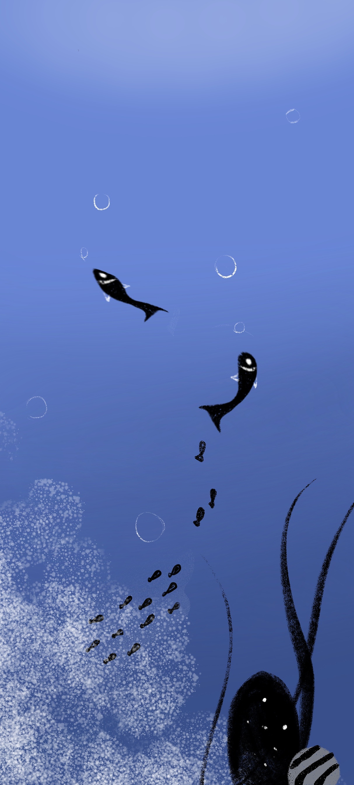 小黑鱼的故事|插画|创作习作|水ashui - 原创作品 - 站酷 (zcool)