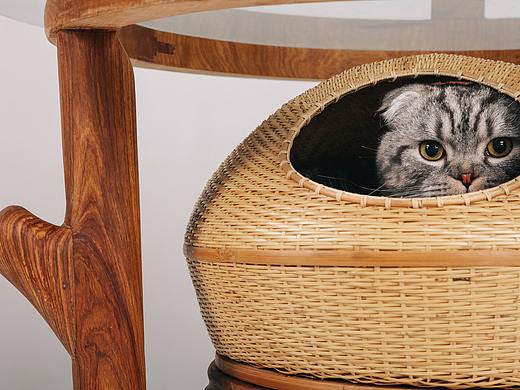 猫桌