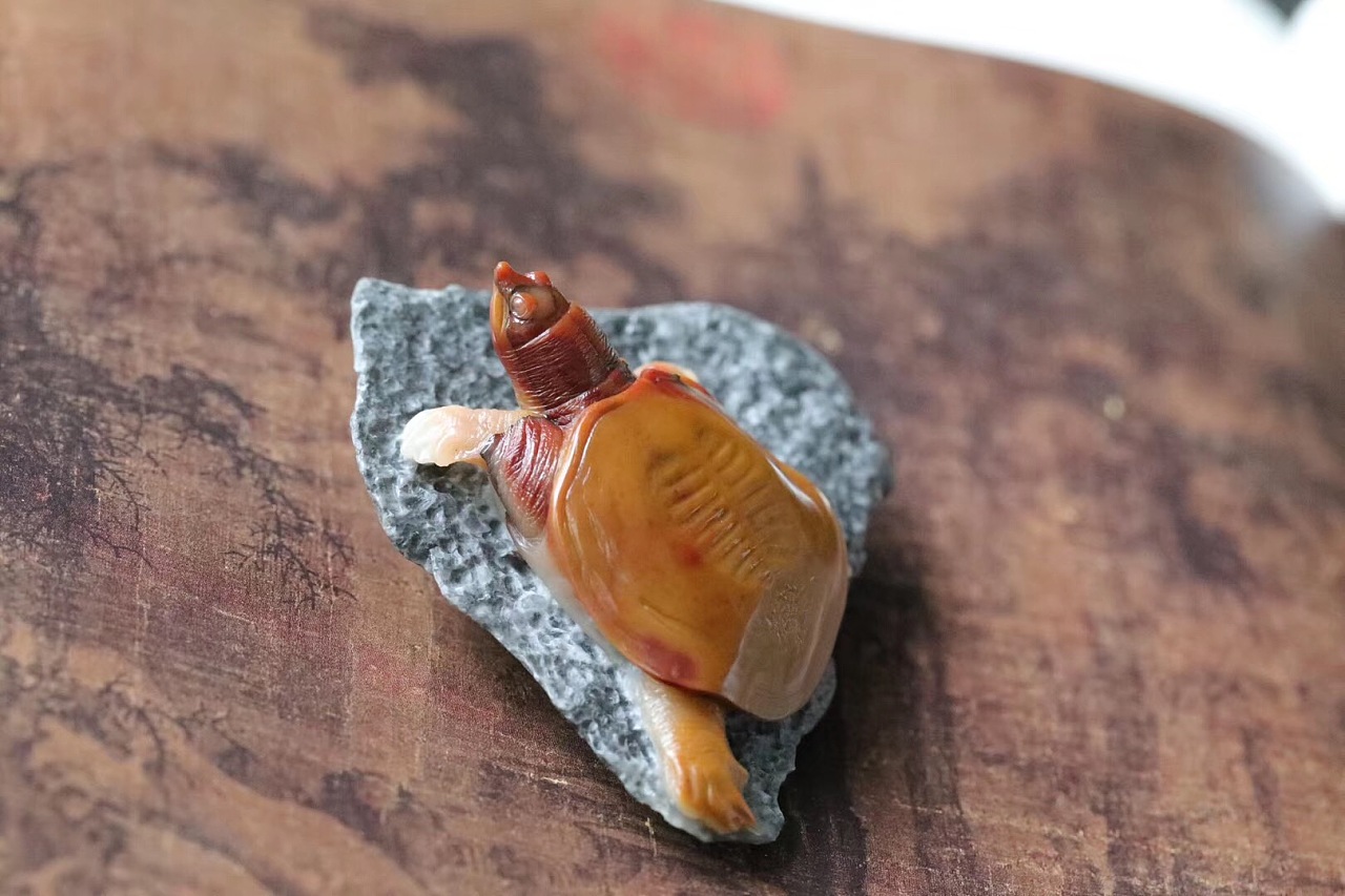 秋坞居鳖乌龟俏色巧雕工艺艺术品