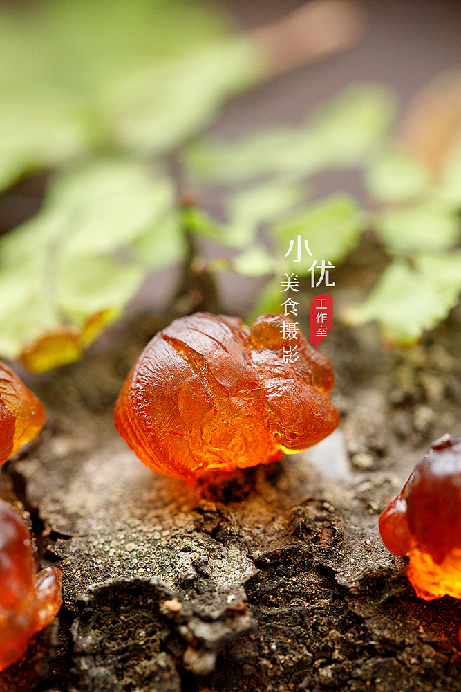 静物美食摄影#桃胶 复古 中国风