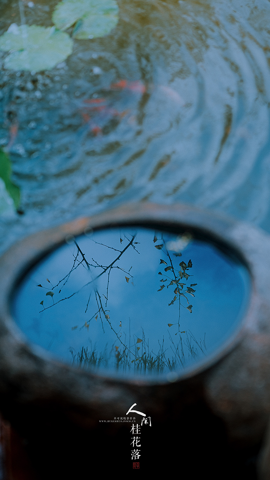 人闲桂花落（图ZMTc5NjA5Mjgw） - 人像摄影 - 站酷设计师摄影师不可说原创素材 - 站酷ZCOOL