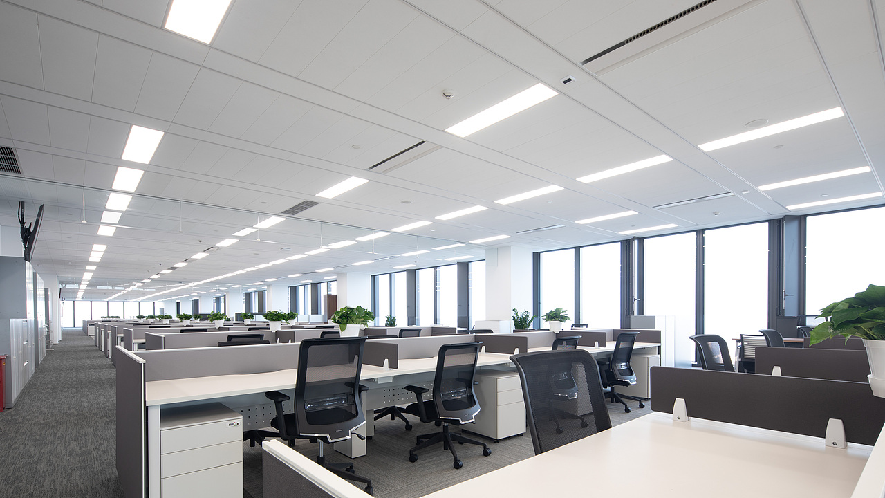 佳能（中国）完工照片