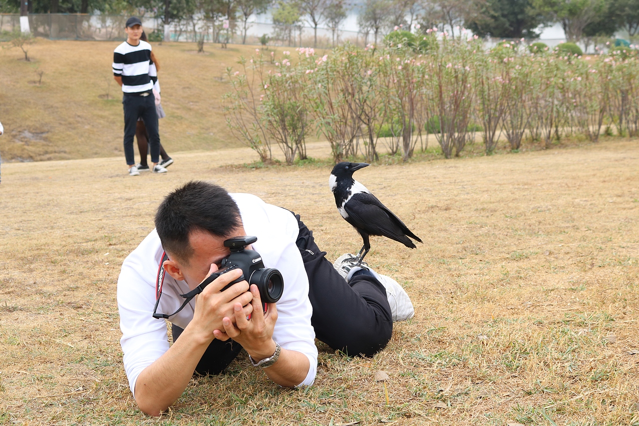 周末没事去白云湖玩下摄影