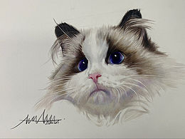 近期两张彩铅小画