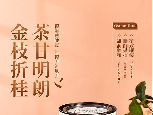茶详情页