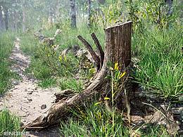 場(chǎng)景練習(xí)