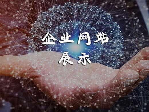 安星数字系统（个人主页-ZMjgzMzczMTI=） - 企业官网 - 站酷设计师雷震宇原创素材 - 站酷ZCOOL