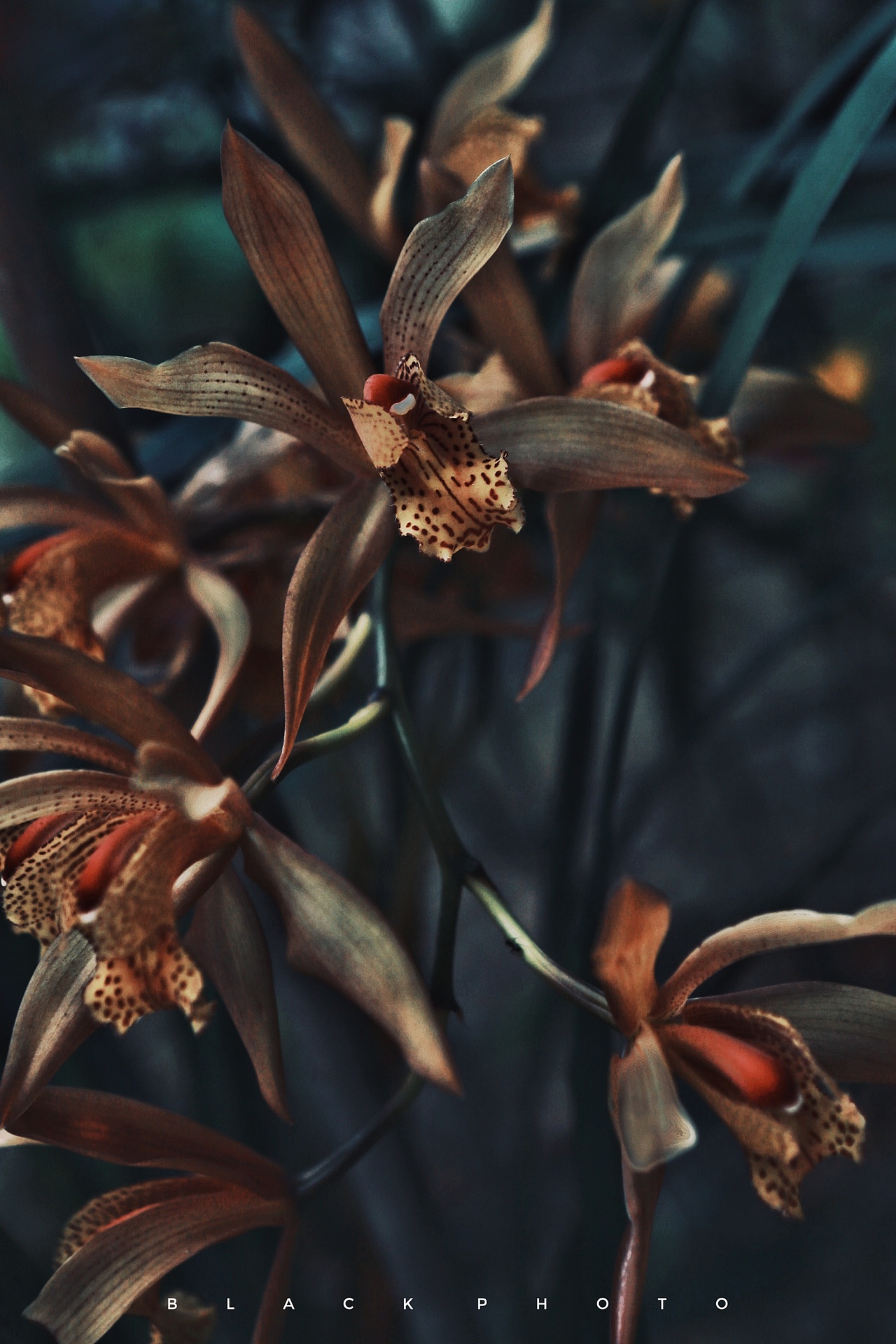 生活中的点点滴滴