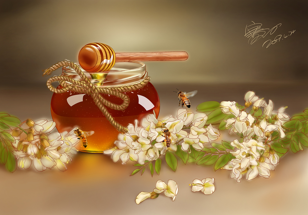 《我的蜜罐子》