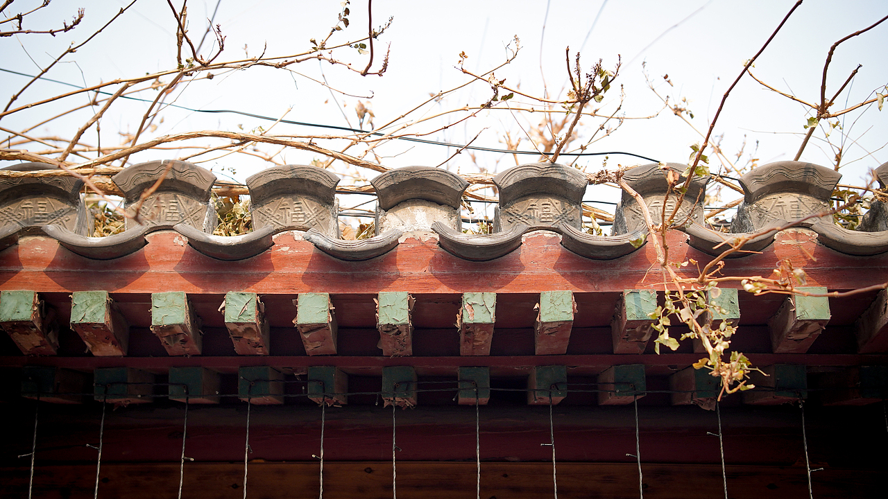 摄影爱好者——北京印象(三)