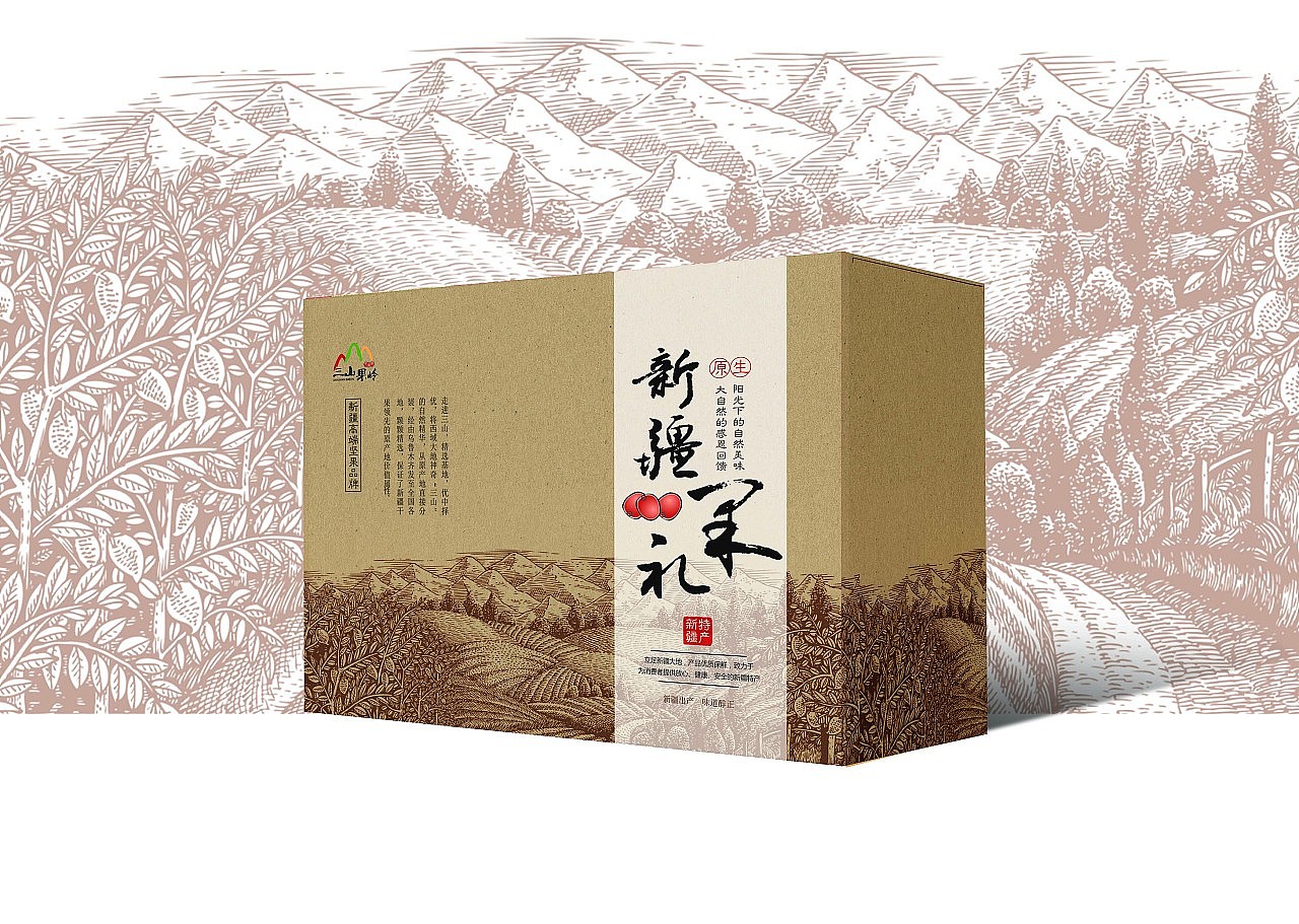新疆原创特产品牌三山果岭新疆果礼包装设计