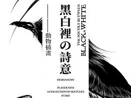 画册