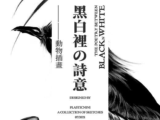 ·黑白肌理插画·