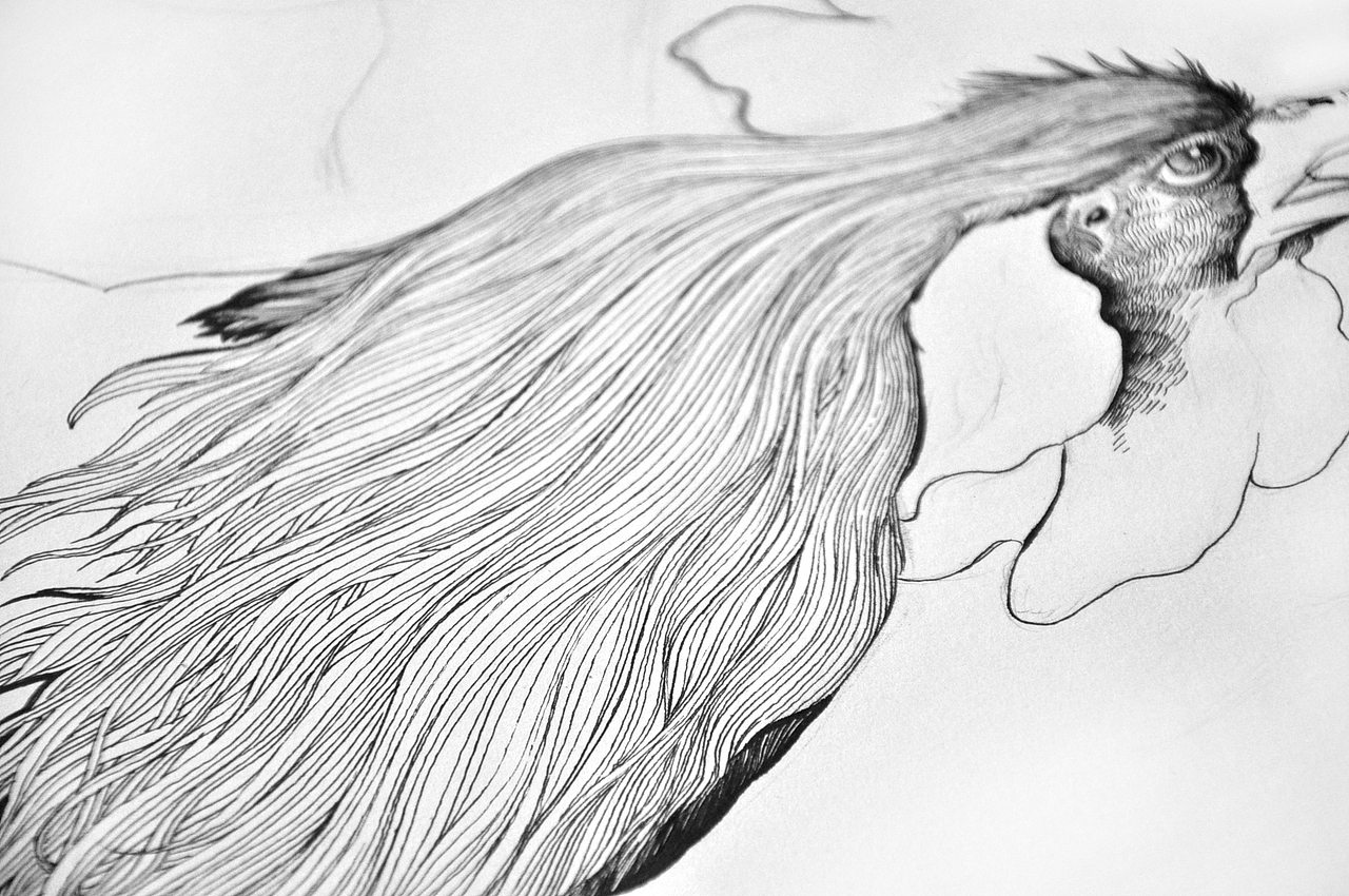 好久不画,拉线时手明显不如当年灵光喽