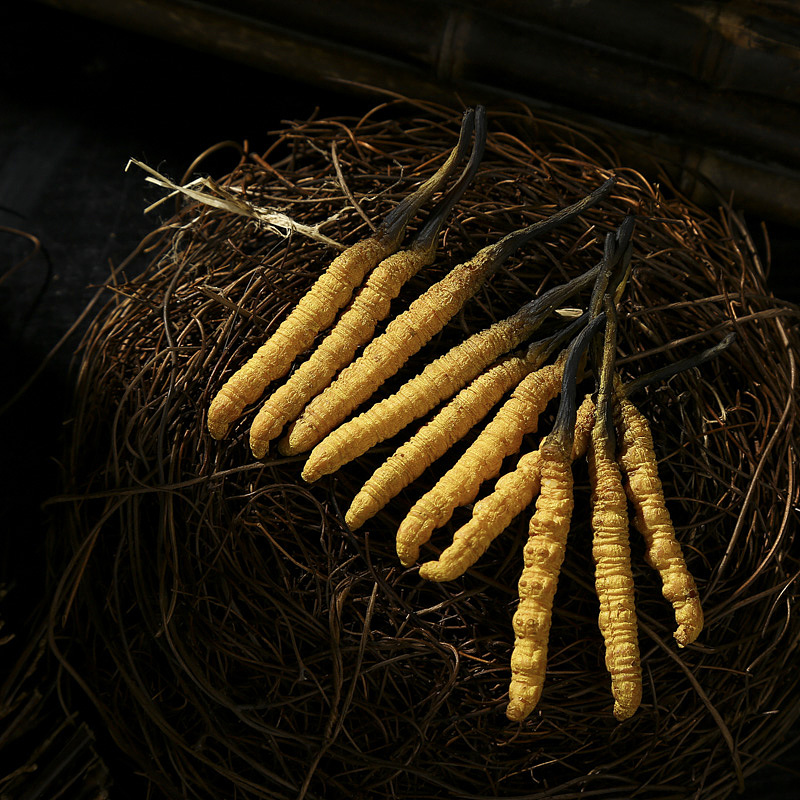 中药材拍摄 冬虫夏草（图ZMTA4ODk0MDA0） - 产品摄影 - 站酷设计师麦子186原创素材 - 站酷ZCOOL