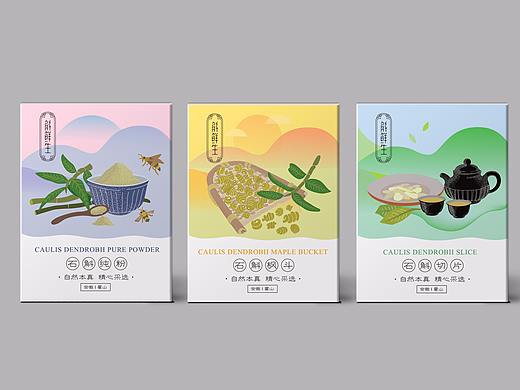 石斛包装毕业设计
